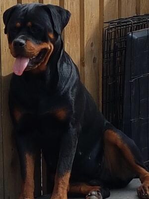 Ruby