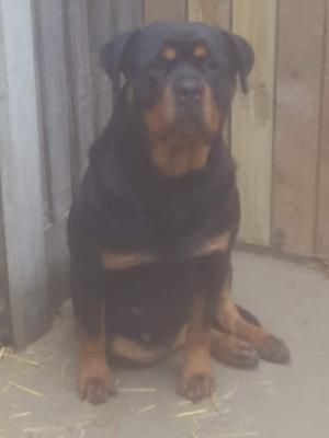 Maddie.- Ebonys mum
