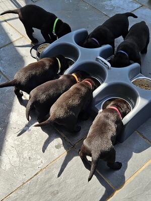 Just weaned