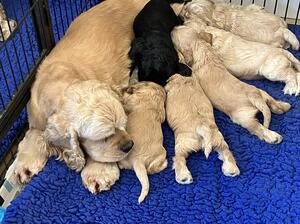 Margo and babies