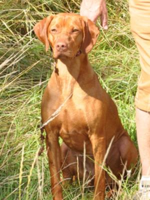 Cinnamon - August 2014