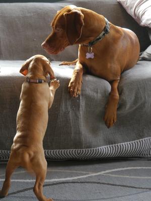 Saying hello to big brother
