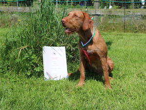 Anizs has gained her title as Dutch Champion