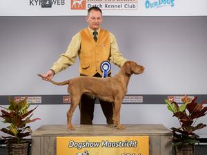 Anizs wins CAC at Maastrict