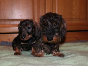 Muffin with her daughter