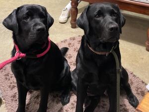 Ruby aged 21 months ( left) and her Mum Dora