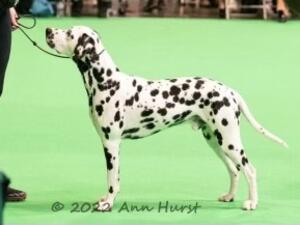 Cooper doing his thing!