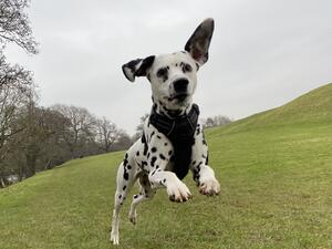 Action shot!