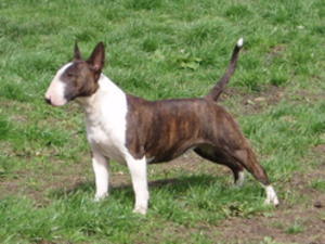 Mugsley