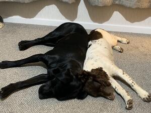 Me and my shadow