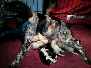 2 Days Old