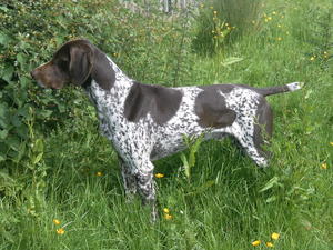 Flynn side view