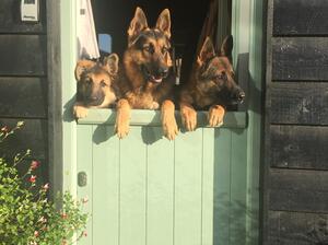 Ellroost Family