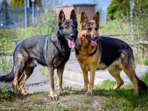 Harro & Lexi