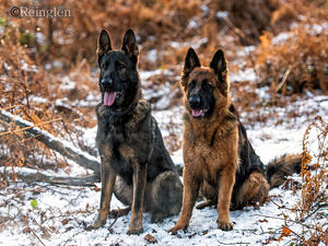 Harro & Kassi