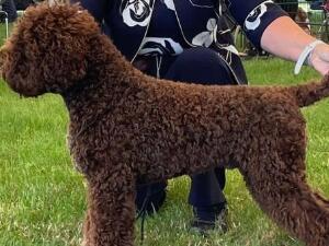 Kan Trace Emit Remmus