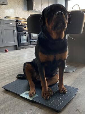Getting weighed 46kg @ 10 months