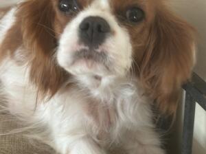 Here’s Hope!