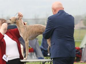Perthshire CC Open 2023