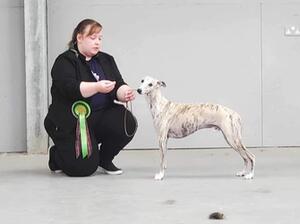 Winning Best in Show at Highland CA 2023