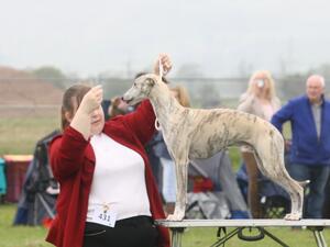 Perthshire CC Open 2023