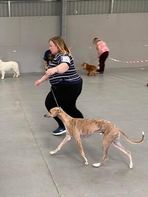 Movement in Class at Highland Association Open 22