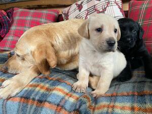 Mum with 2 of our Boys