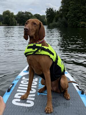 Tess paddleboarding