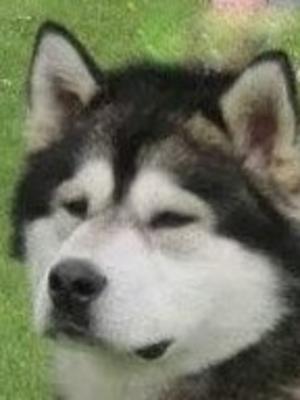 Gabe