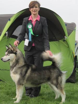 Demi winning her first CACIB