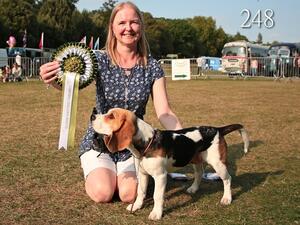 Sept 2021 - Best in Show Novelty Classes