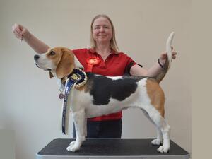 May 2022 - Reserve Best of Breed