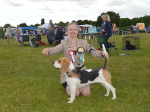 June 2022 - Best AVNSC Hound