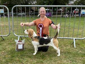 September 2022 - 1st AV Special Yearling