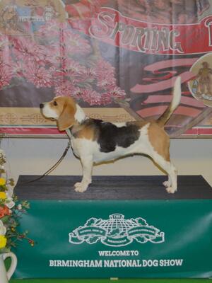 Princess Bella of Redcharm - May 2024