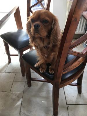Purdie sitting pretty