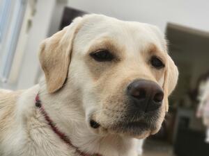 Peggy