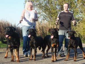 Tallowah Beaucerons