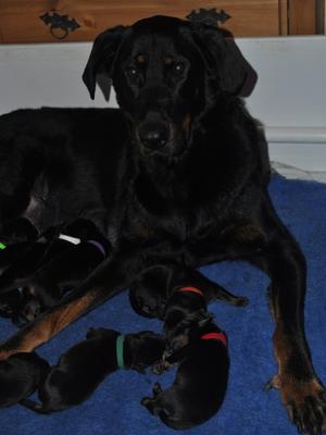 Day 3 - proud mum