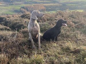 Working out on the North Yorkshire Moors