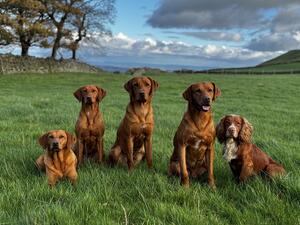 The Team