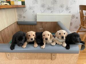 Keen to get out and play