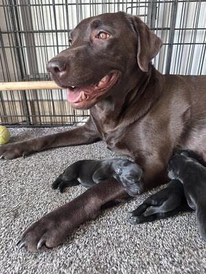 Proud mum