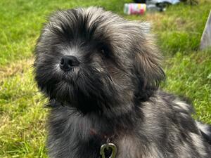 Just had a blowdry
