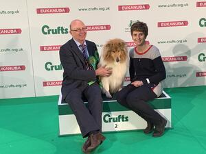 Best of Breed Crufts 2019