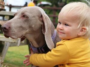 The best family pet