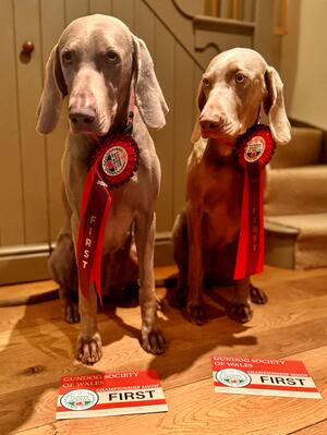 WInner winner with mum Daisy