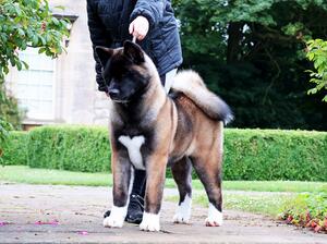 Athena at 6 Months