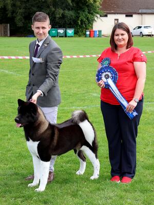 Crystal winning Best In Show