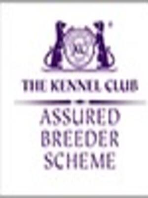 KCAB